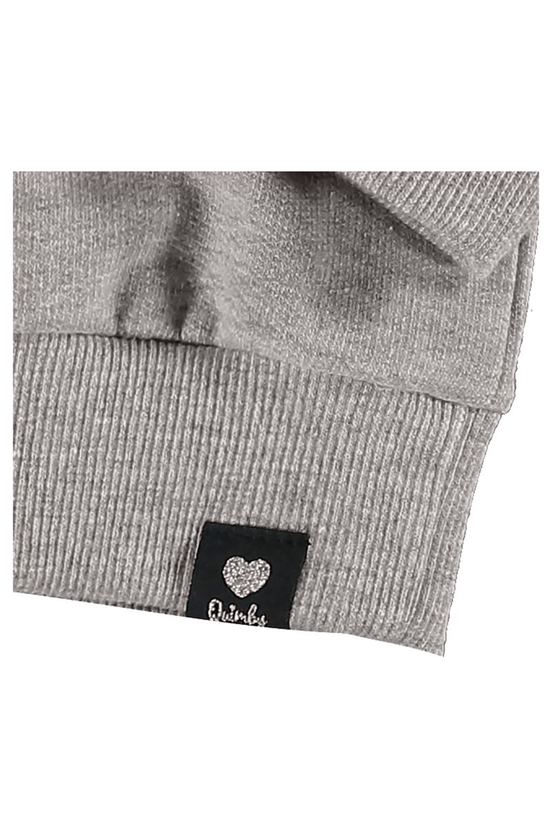 Quimby---Conjunto-Blusao-e-Calca-Legging-Cinza