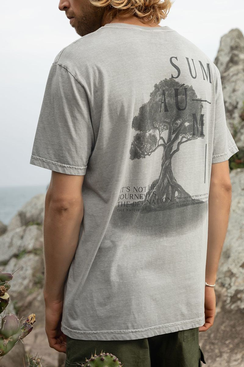 Camiseta-Masculina-com-Mangas-Curtas--Cinza--The-Philippines