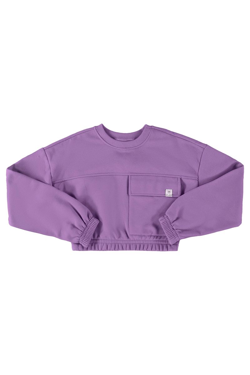 Blusao-Cropped-Basico-em-Moletom-Juvenil--Roxo--Gloss