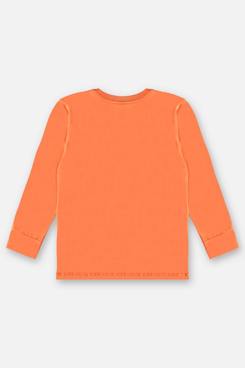 Camiseta-Manga-Longa-Infantil-Menino--Laranja--Up-Baby