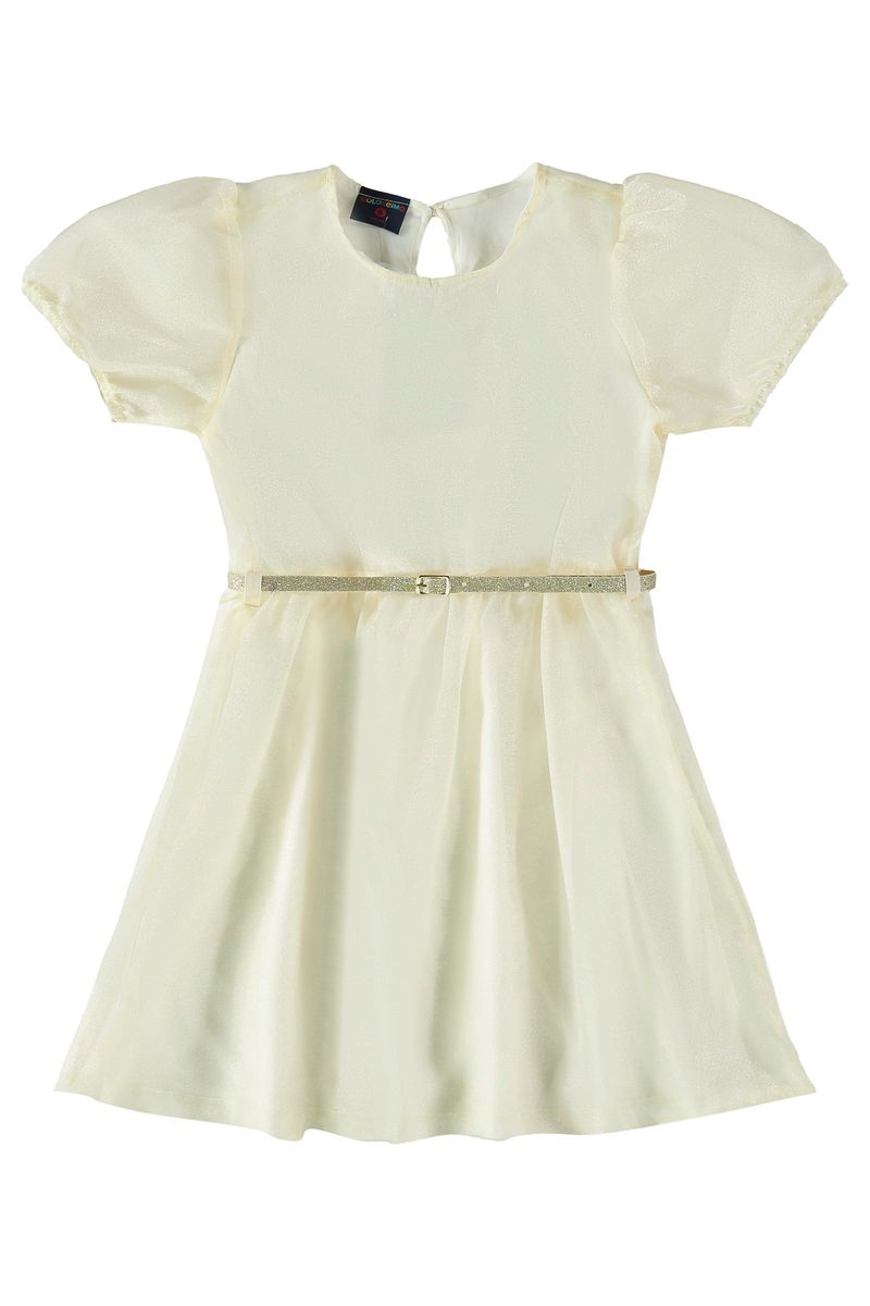 Vestido-em-Organza-com-Forro