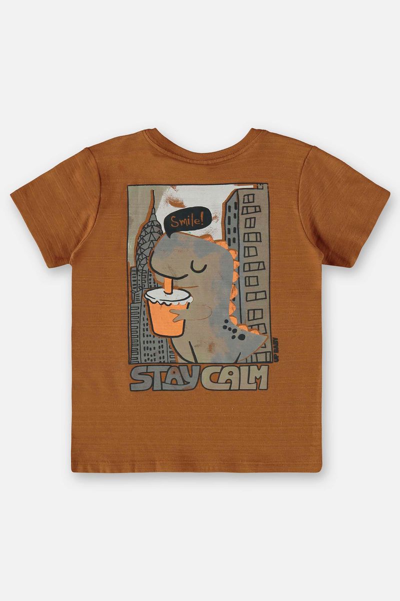 conjunto-infantil-com-camiseta-e-bermuda-marrom
