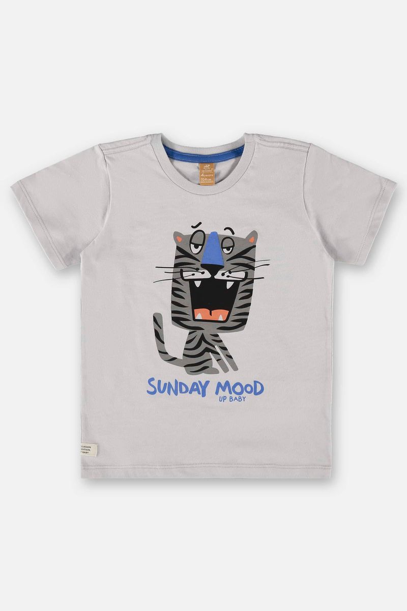 camiseta-infantil-para-menino-em-meia-malha-cinza