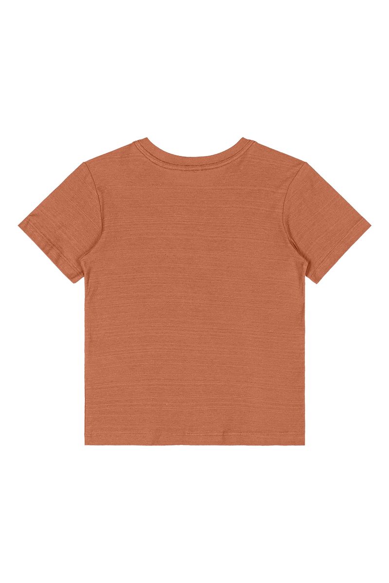 camiseta-infantil-masculina-em-meia-malha-flame-marrom-quimby