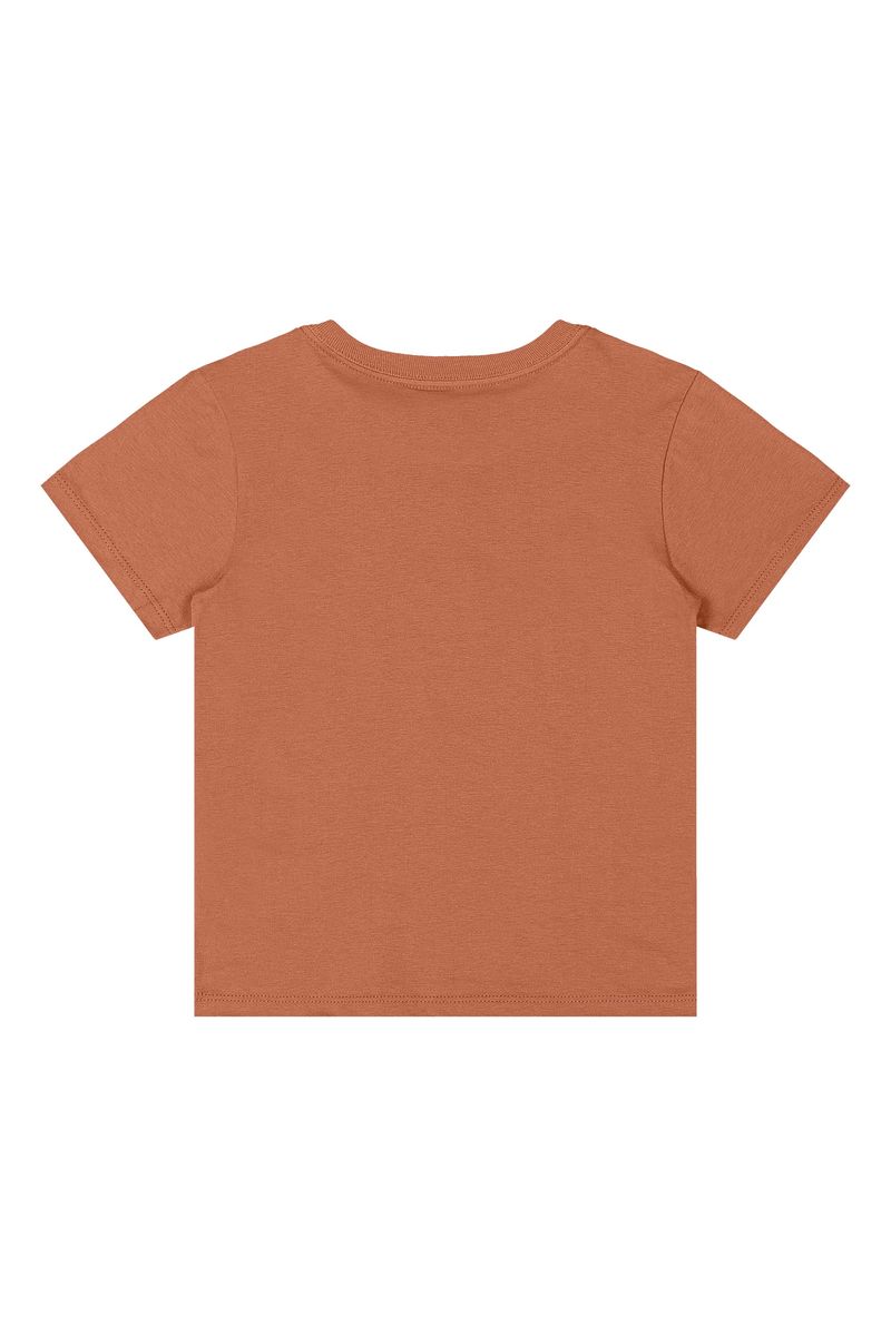conjunto-infantil-com-camiseta-e-bermuda-marrom-quimby
