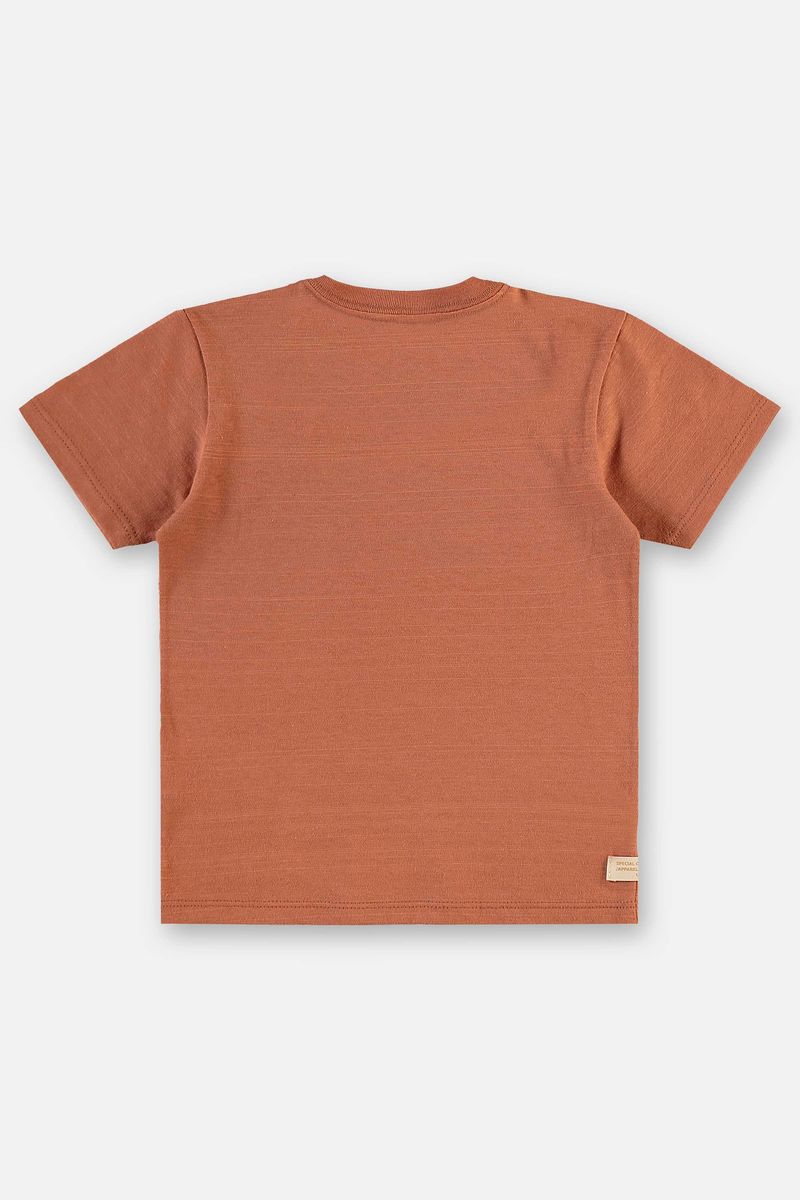 conjunto-infantil-masculino-com-camiseta-e-short-estampado-marrom-up-baby