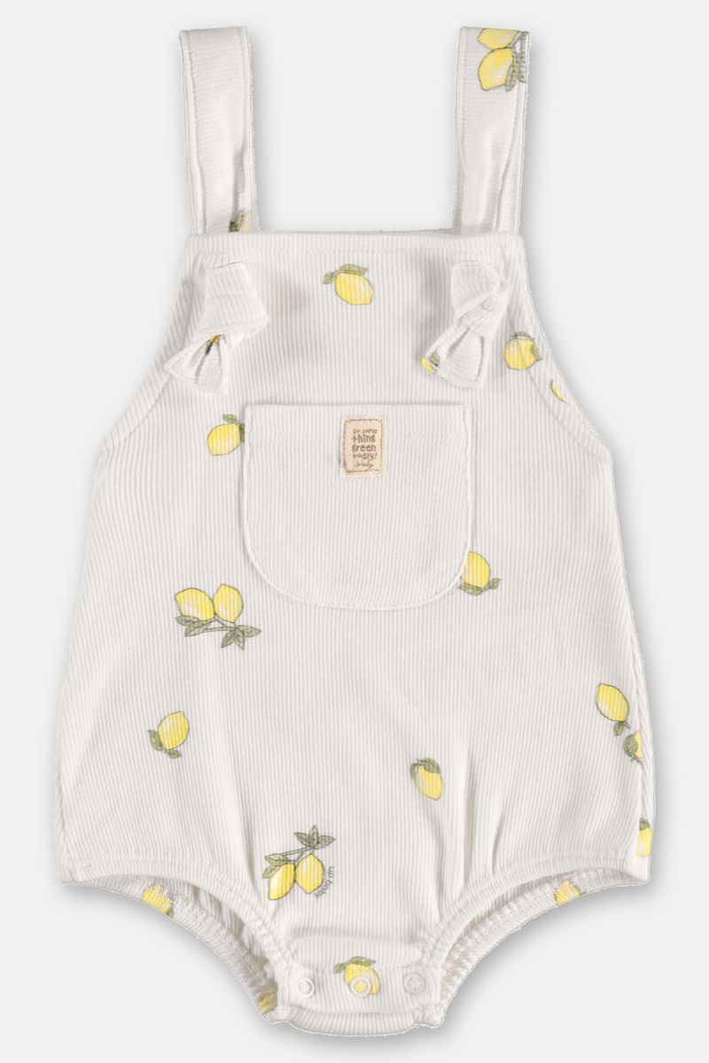 imagem do produto-frente